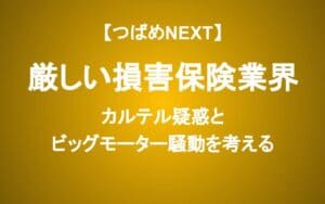 【つばめNEXT】ビッグモーターなど問題続出の損保業界...本当の被害者はあなたかもしれない。下がった株は買えるか？