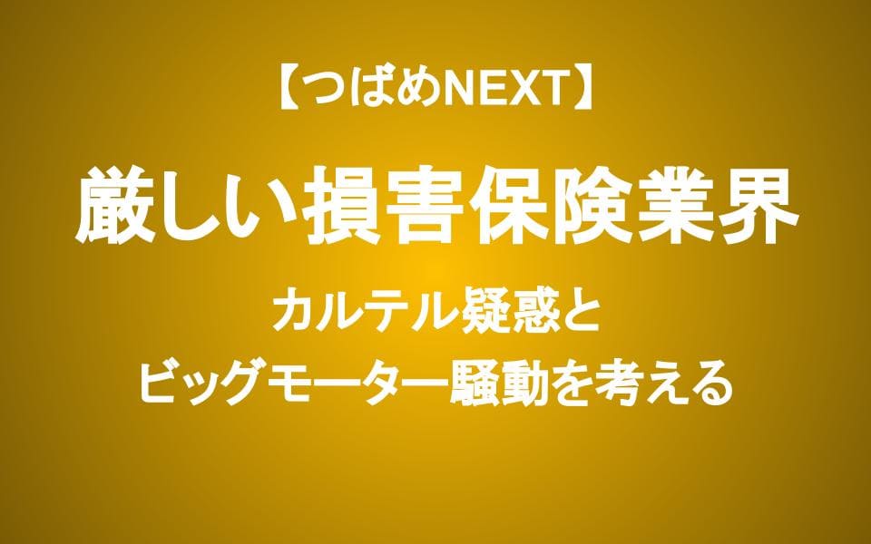 【つばめNEXT】ビッグモーターなど問題続出の損保業界...本当の被害者はあなたかもしれない。下がった株は買えるか？