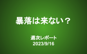 【第353号】週次レポート（2023/9/16）：原油高が示す世界のお金の流れ―暴落は来ないかも？