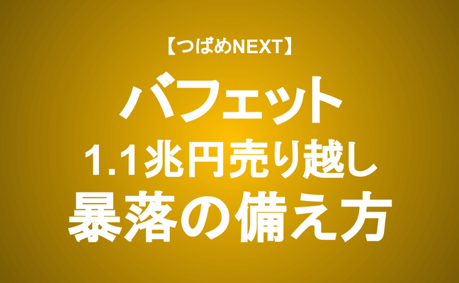 【つばめNEXT】暴落に備える５つのポイントと１つの禁止事項