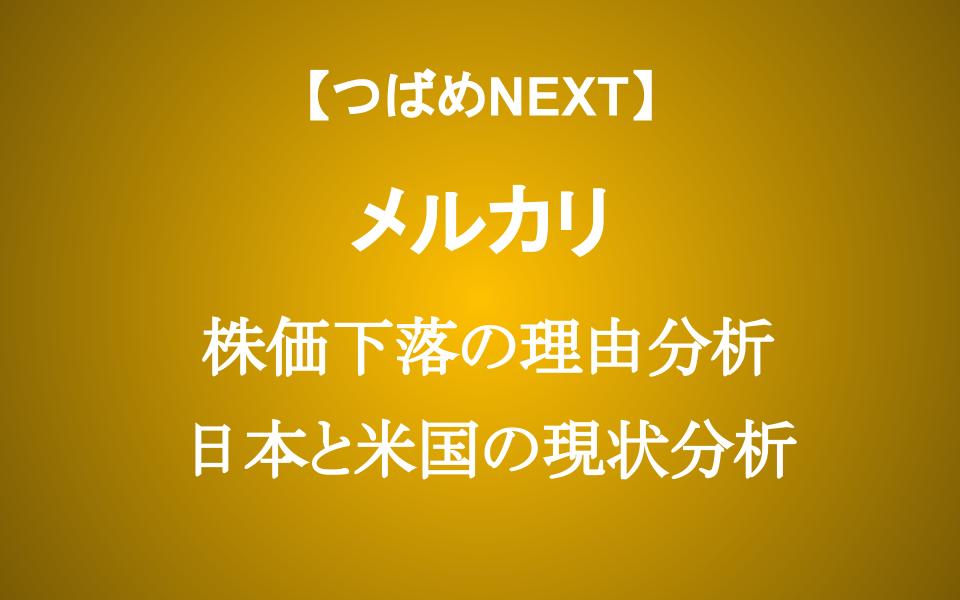 【メルカリ】 増収増益でも株価20%暴落の理由 今こそ買い時か？
