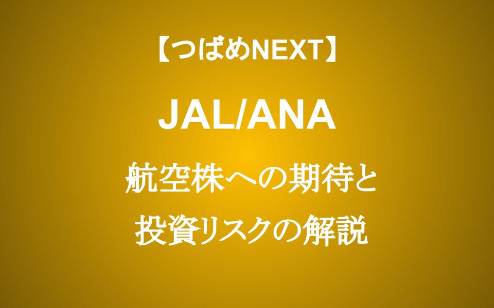 【JAL/ANA】航空株の今後はどうなる？投資する時に考える5つのポイント
