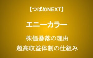 【にじさんじ】株価20%暴落のエニーカラーは買いか？売りか？ Vtuberビジネスの儲けの裏側