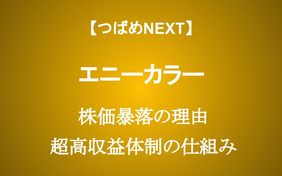 【にじさんじ】株価20%暴落のエニーカラーは買いか？売りか？ Vtuberビジネスの儲けの裏側