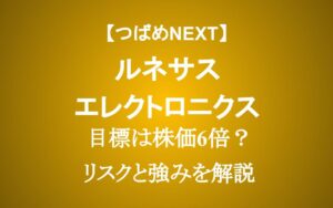 日の丸半導体ルネサス　株価6倍は達成可能か？AI半導体ブームに隠れたリスク