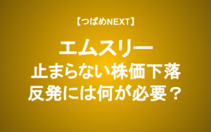【つばめNEXT】エムスリーに何が起きているか、あなたも聞いてみませんか？