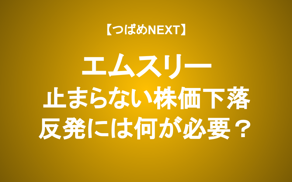 【つばめNEXT】エムスリーに何が起きているか、あなたも聞いてみませんか？