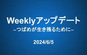 Weeklyアップデート（24/6/5）:つばめが生き残るために