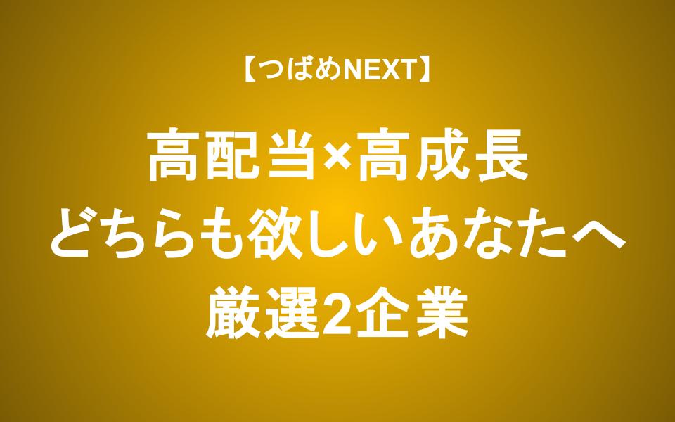 高成長×高配当 欲張りなあなたに注目2企業を解説　【メイテックGHD・キャリアデザインセンター】