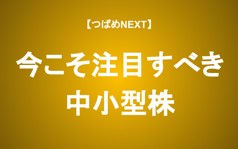 【つばめNEXT】次の出世株を探せ！中小型株編【1】