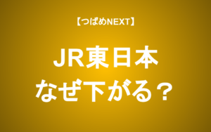【つばめNEXT】JR東日本はこれからどうなるのか？【初心者必見】