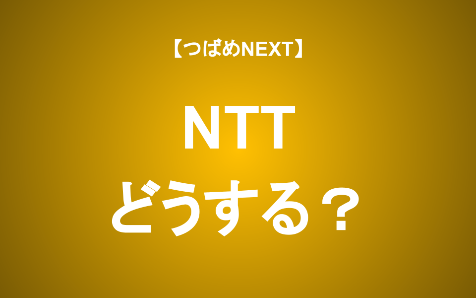 【つばめNEXT】NTTは保有したままで良い？悪い？長期投資家の視点