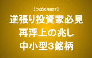 【つばめNEXT】成長が期待される中小型3銘柄分析と投資アプローチ