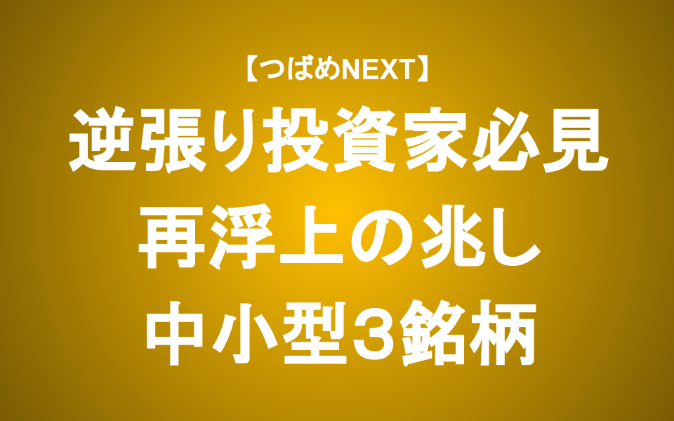 【つばめNEXT】成長が期待される中小型3銘柄分析と投資アプローチ
