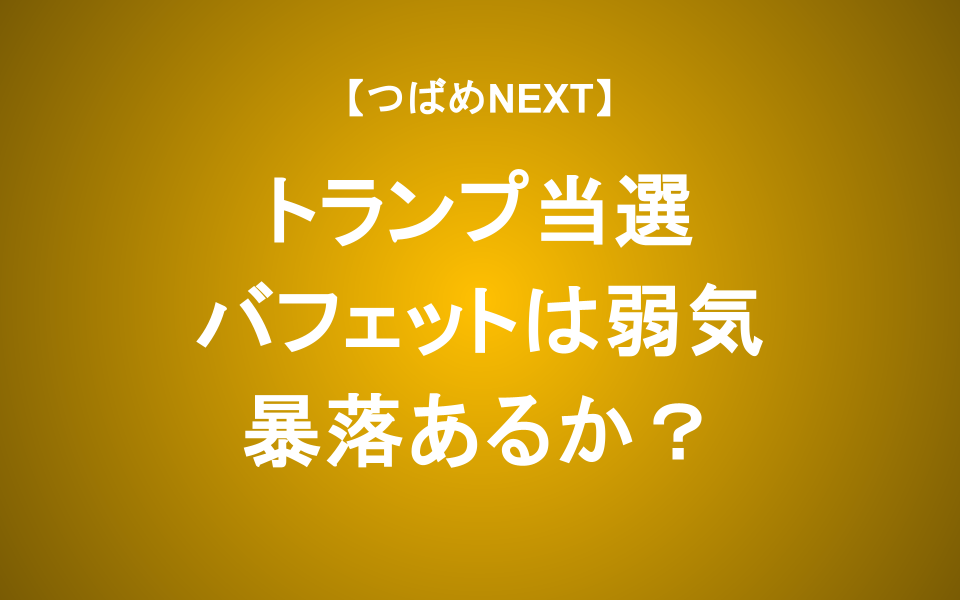 【つばめNEXT】2025年暴落シナリオ｜バフェットが株を売るのはなぜ？