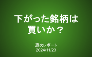 【第395号】週次レポート（2024/11/23）：下がった銘柄は買いか？