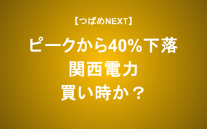 【つばめNEXT】配当利回り3 4%の関西電力は買いか？公募増資の意図【初心者向け】