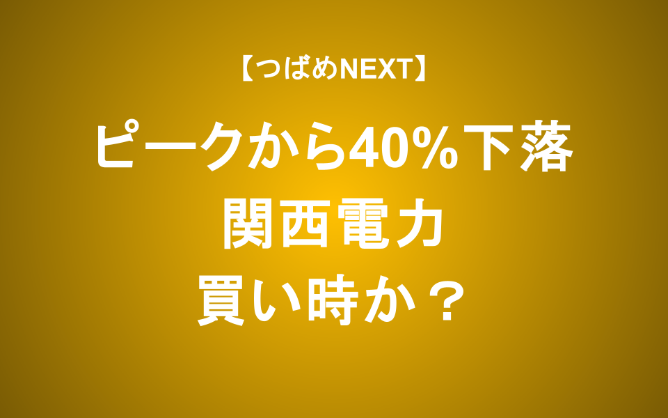 【つばめNEXT】配当利回り3 4%の関西電力は買いか？公募増資の意図【初心者向け】
