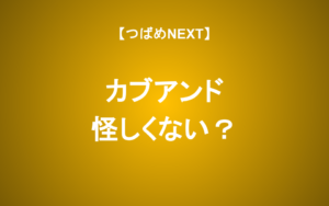 【つばめNEXT】カブアンドは儲かるの？リスクは？仕組みを徹底解説！