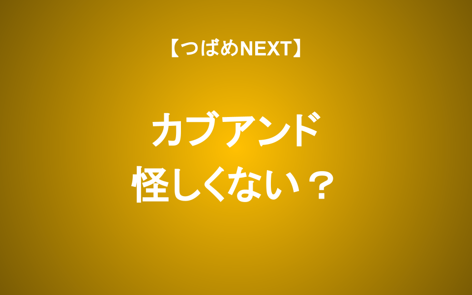 【つばめNEXT】カブアンドは儲かるの？リスクは？仕組みを徹底解説！