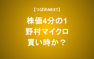 【つばめNEXT】PER7倍・利回り4.4%だがどうすべき？【野村マイクロ】