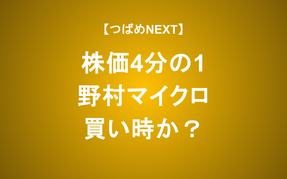 【つばめNEXT】PER7倍・利回り4.4%だがどうすべき？【野村マイクロ】