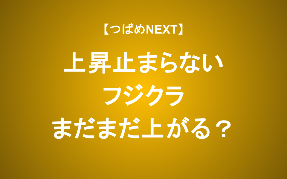 【つばめNEXT】フジクラが上がる理由と今世界経済で起きていること