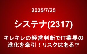 システナ(2317)：キレキレの経営判断でIT業界の進化を牽引！リスクはある？
