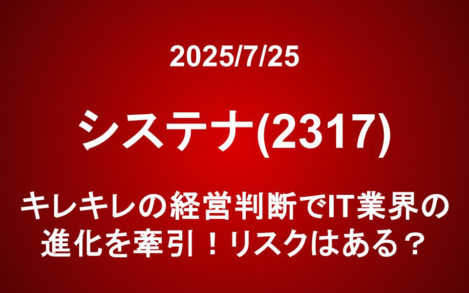 システナ(2317)：キレキレの経営判断でIT業界の進化を牽引！リスクはある？